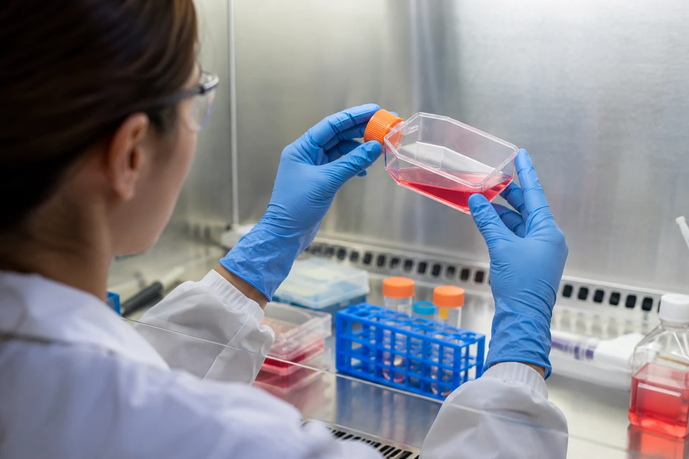 A researcher examining a cell-culture flask in a laboratory cabinet.