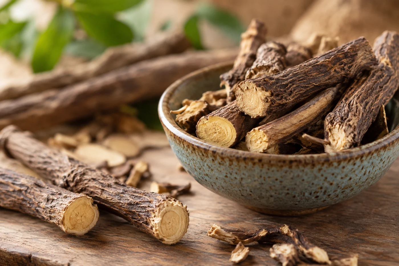 Macro photograph of dried liquorice roots cut across and whole roots in small ceramic bowl, botanical apothecary still life. Illustrative editorial photograph.