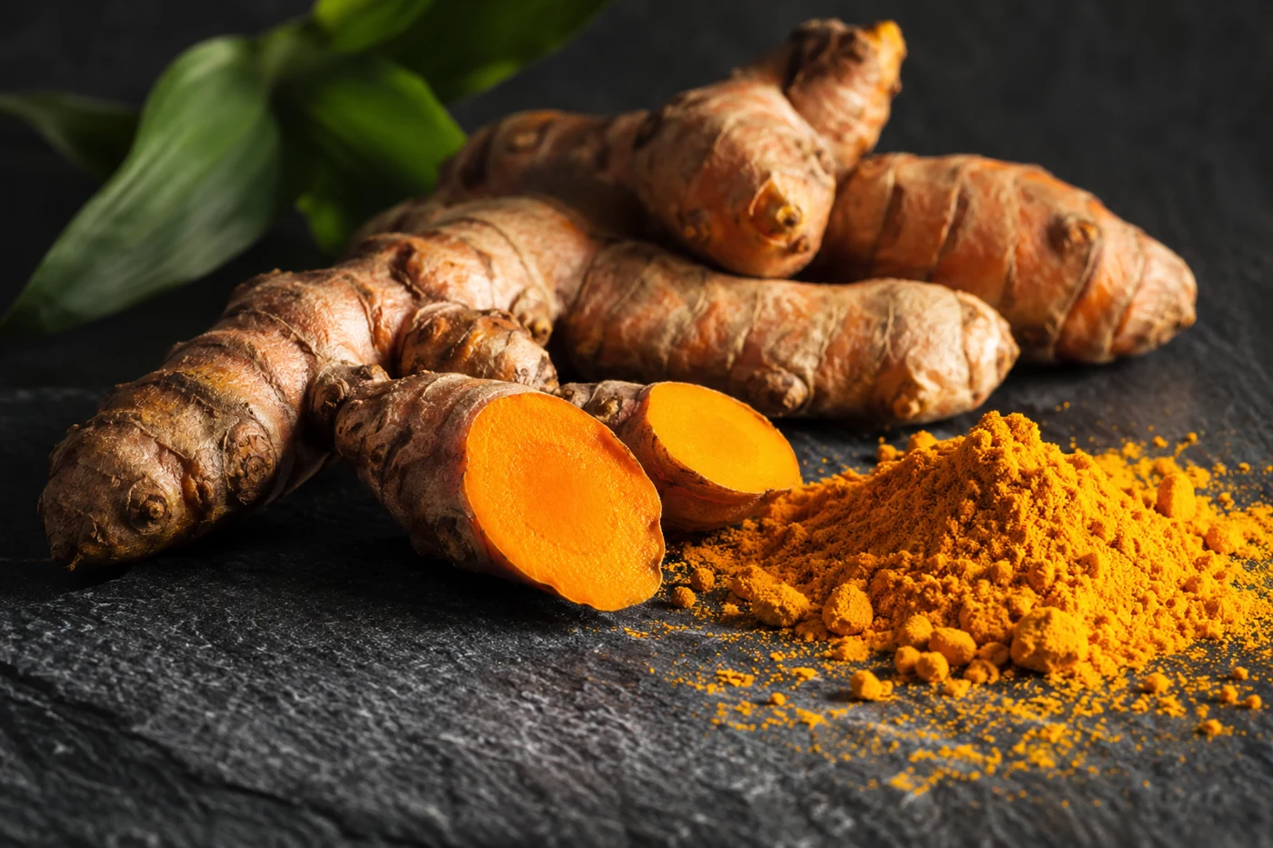 Fresh turmeric rhizomes with one cut orange root and loose turmeric powder on dark slate, side lighting. Illustrative editorial photograph.